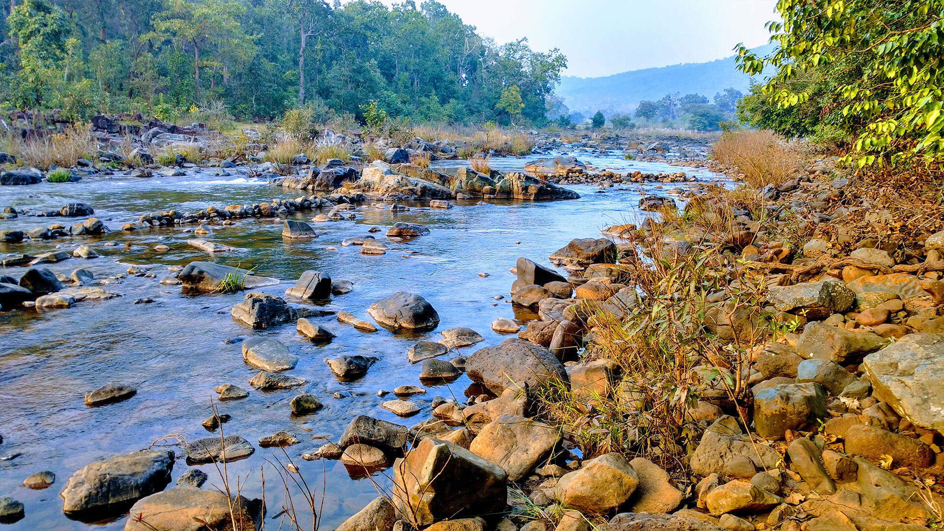 simlipal national park tour guide